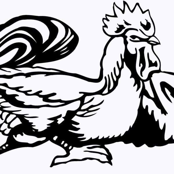 CHICK010 Thumbnail
