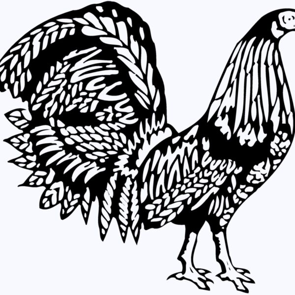 CHICK013 Thumbnail