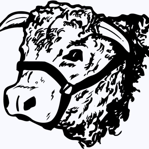 COW003 Thumbnail