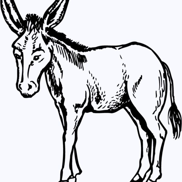 BURRO001 Thumbnail
