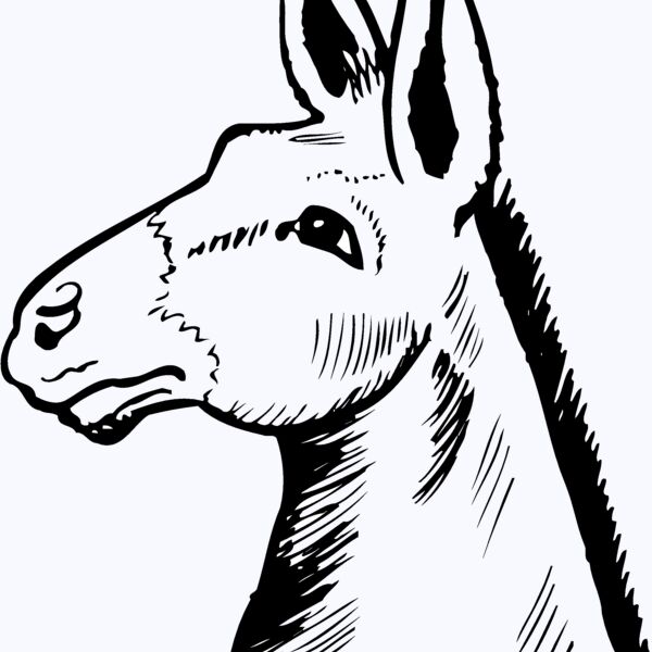 BURRO014 Thumbnail
