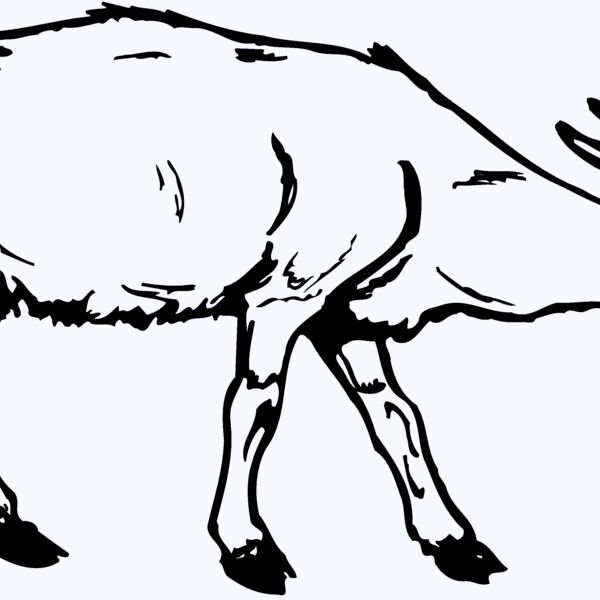 GOAT002 Thumbnail