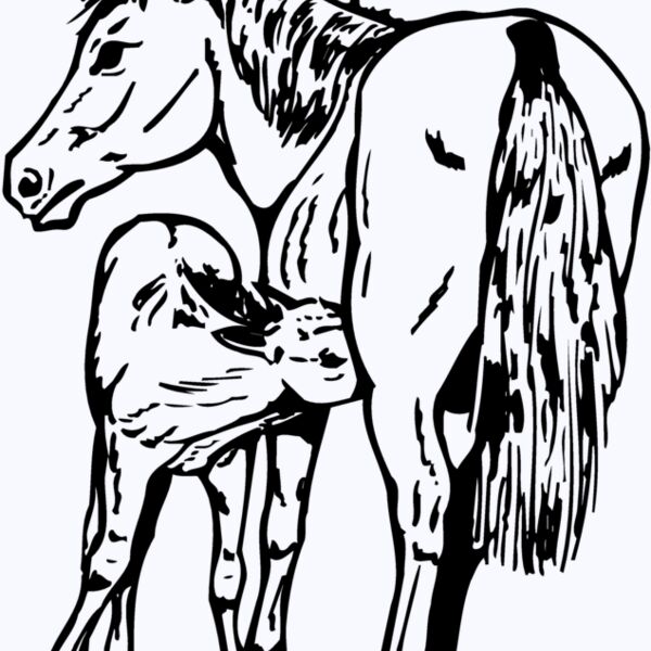 HORSE036 Thumbnail