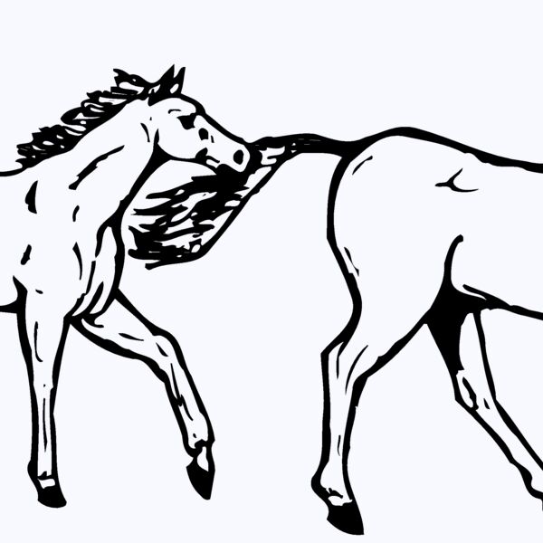 HORSE040 Thumbnail