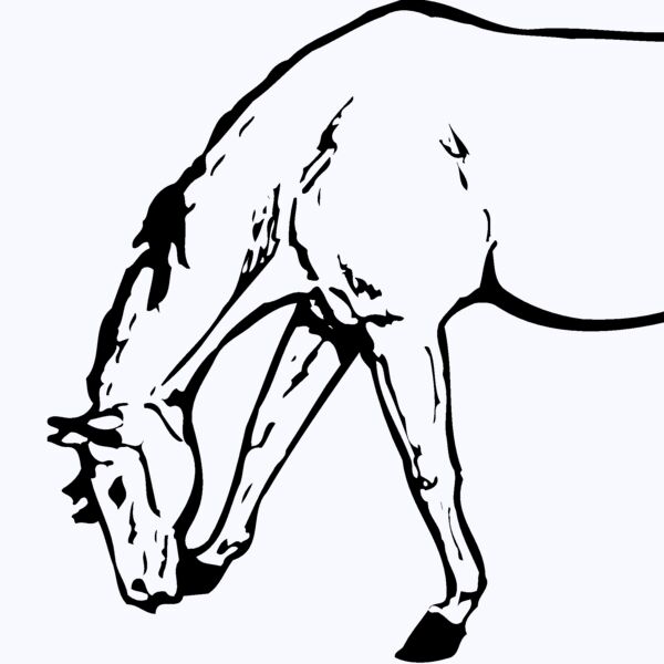 HORSE045 Thumbnail