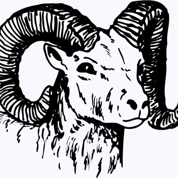 RAM010 Thumbnail