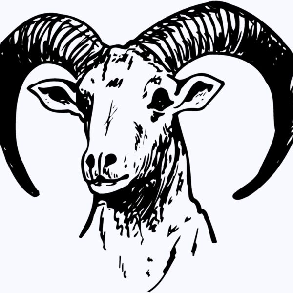 RAM012 Thumbnail