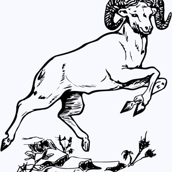RAM014 Thumbnail