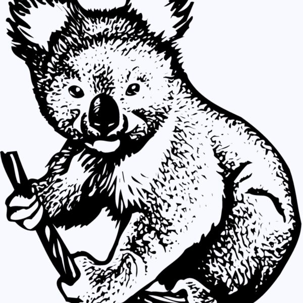 BEAR007 Thumbnail