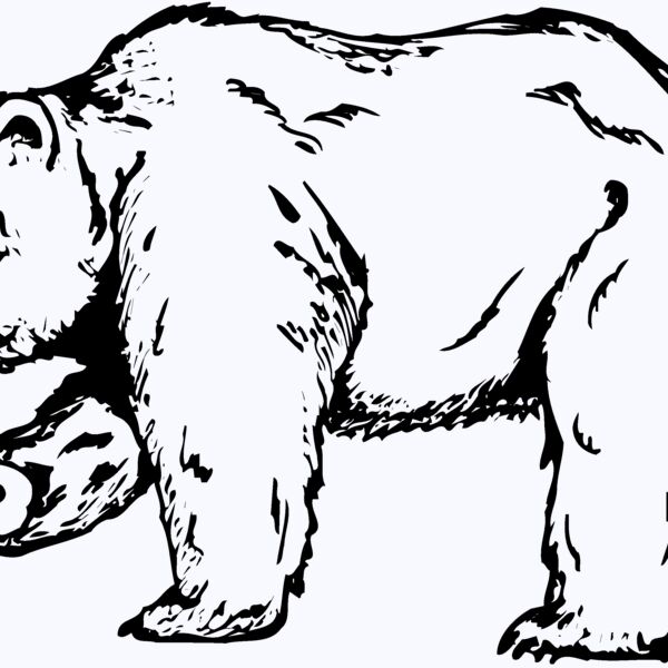BEAR012 Thumbnail