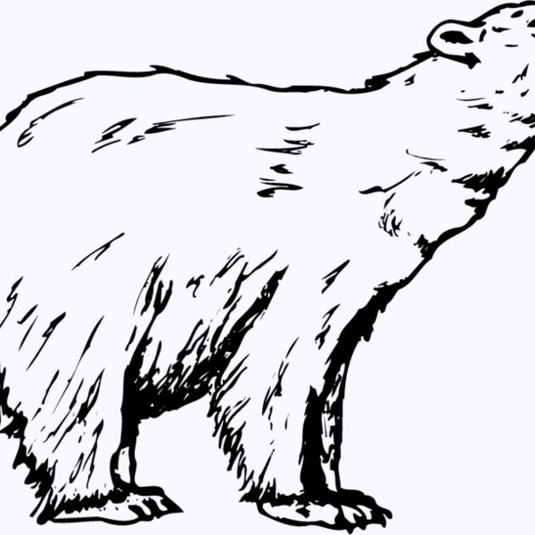 BEAR016 Thumbnail