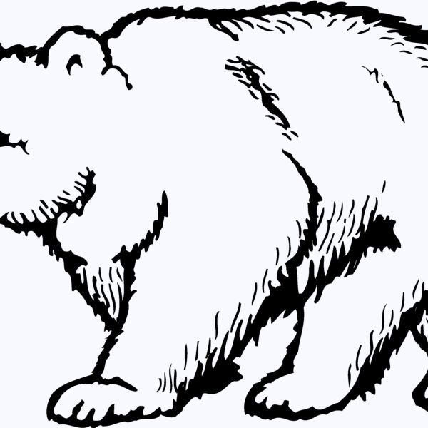 BEAR017 Thumbnail
