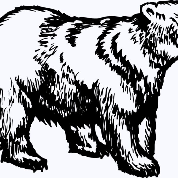 BEAR018 Thumbnail