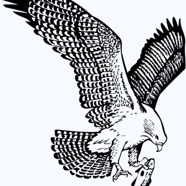 EAGLE022 Thumbnail