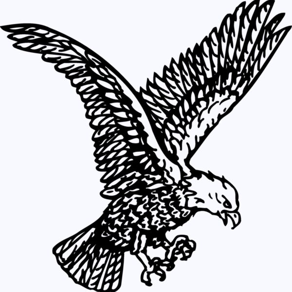 EAGLE037 Thumbnail