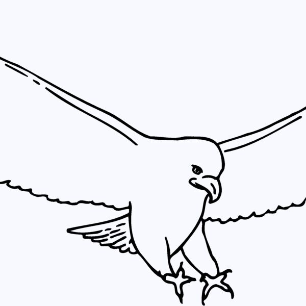 EAGLE46 Thumbnail