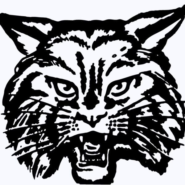 CAT03 Thumbnail