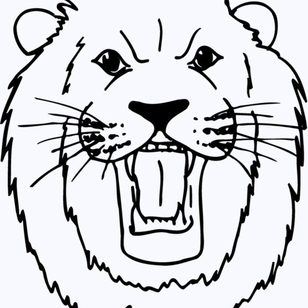 CAT10 Thumbnail