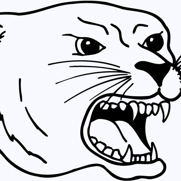 CAT17 Thumbnail