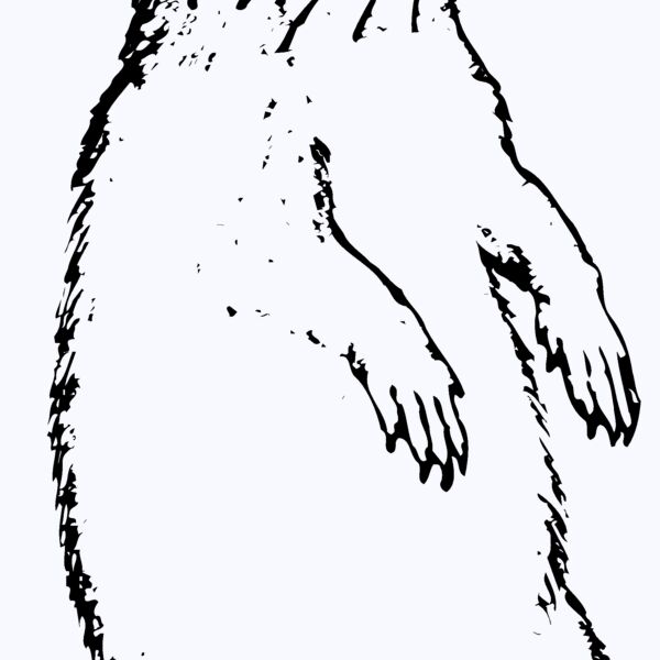 GOPHER01 Thumbnail