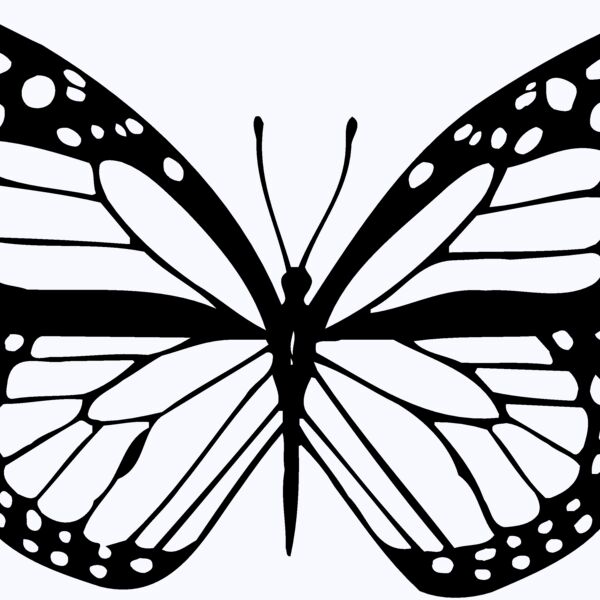 BTRFLY04 Thumbnail