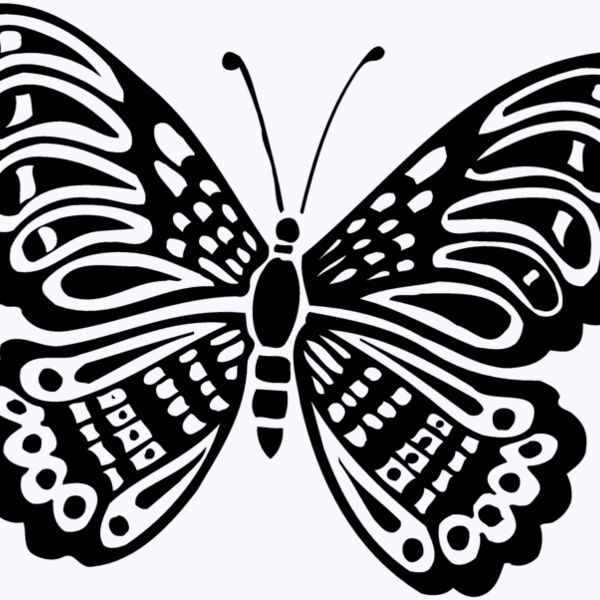 BTRFLY05 Thumbnail