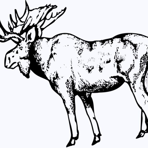 MOOSE002 Thumbnail