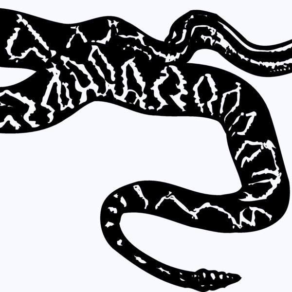 SNAKE007 Thumbnail