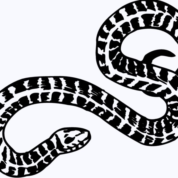 SNAKE009 Thumbnail