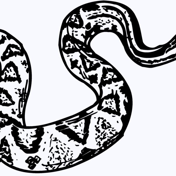 SNAKE011 Thumbnail