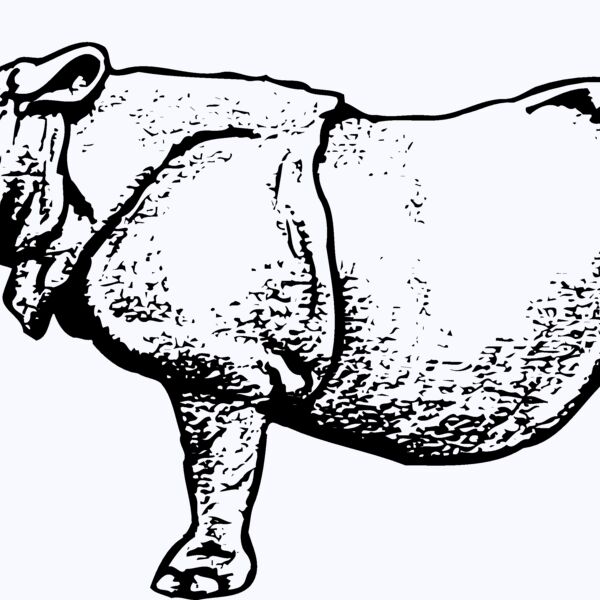 RHINO003 Thumbnail