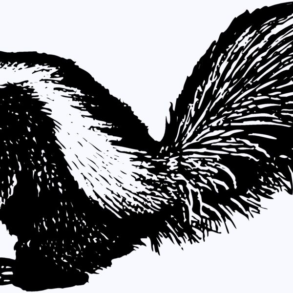 SKUNK002 Thumbnail