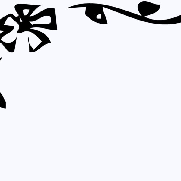 BRDR025 Thumbnail
