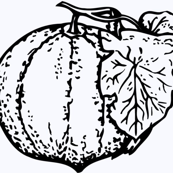 FRUIT007 Thumbnail