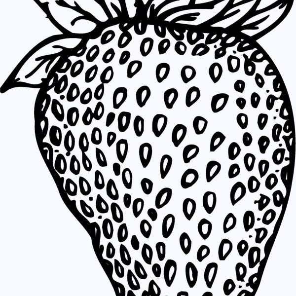 FRUIT010 Thumbnail