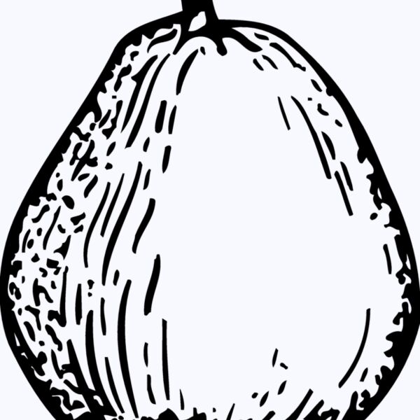 FRUIT026 Thumbnail