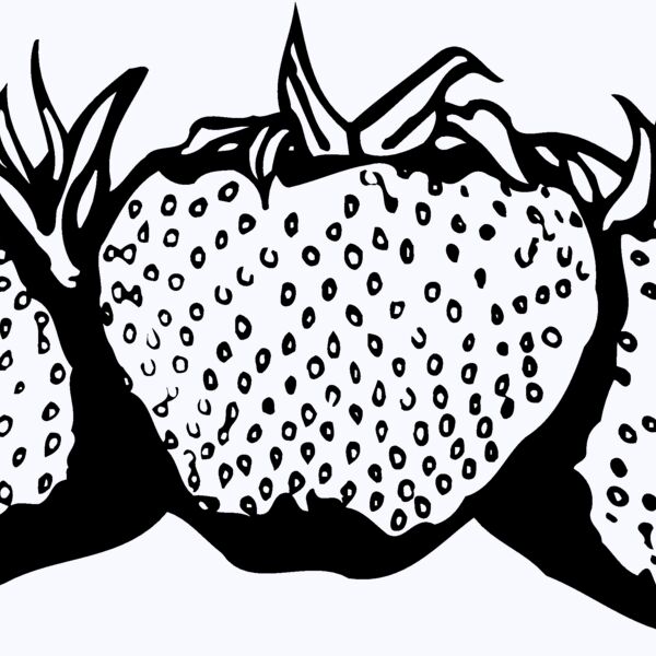 FRUIT034 Thumbnail