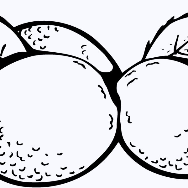 FRUIT036 Thumbnail