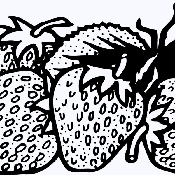 FRUIT038 Thumbnail