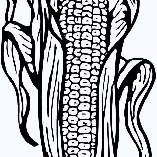 GRAIN001 Thumbnail