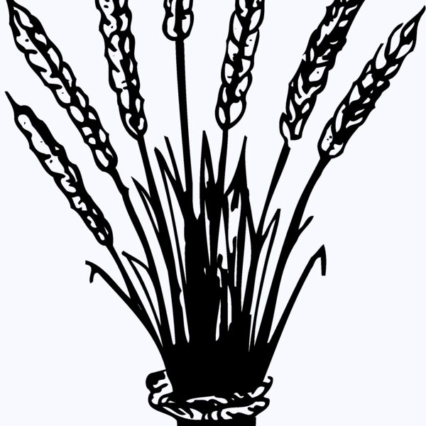 GRAIN008 Thumbnail