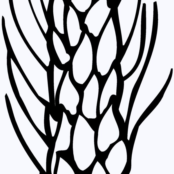 GRAIN010 Thumbnail