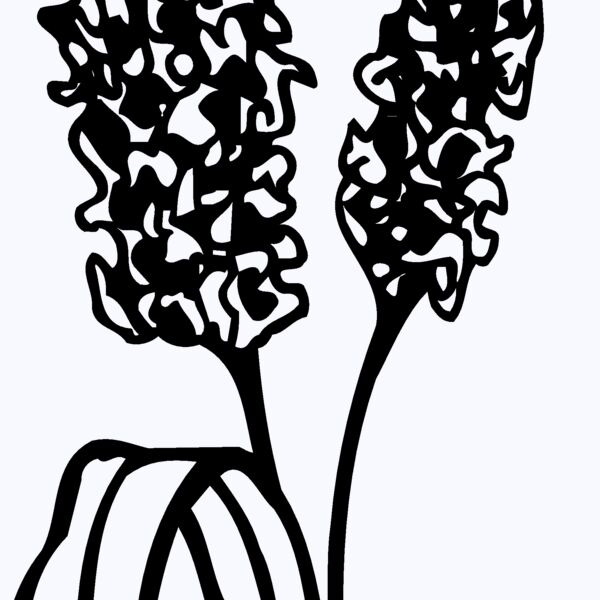 GRAIN011 Thumbnail