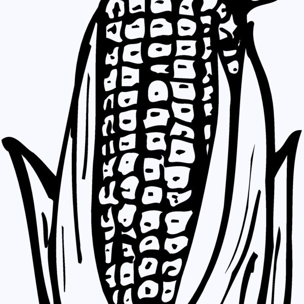 GRAIN013 Thumbnail
