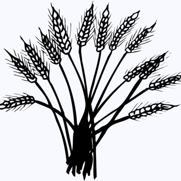 GRAIN015 Thumbnail