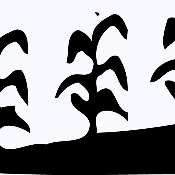 GRAIN016 Thumbnail
