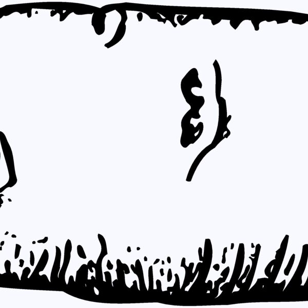 VEG006 Thumbnail