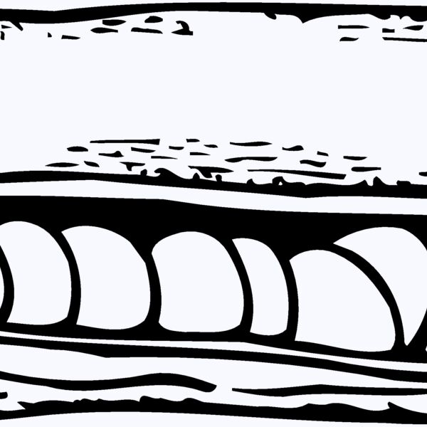 VEG009 Thumbnail