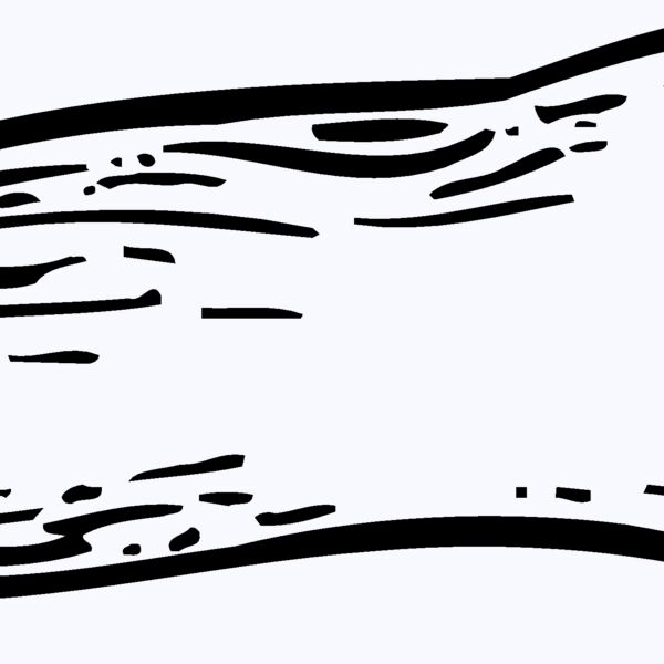 VEG012 Thumbnail
