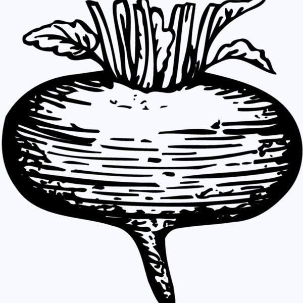 VEG018 Thumbnail